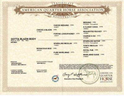 Gotta Blazin Body Certificate (1)-1